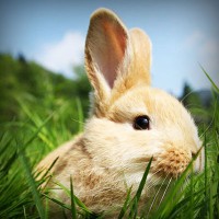 /album/prezentacie/photolia-a03-jpg/